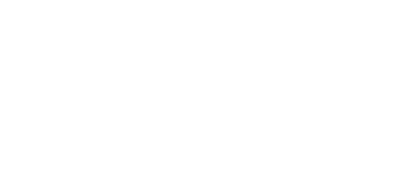 SaddleMattress 